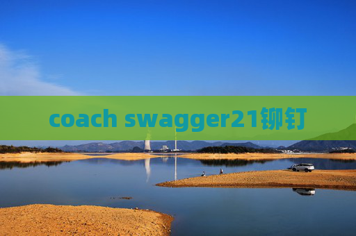 coach swagger21铆钉